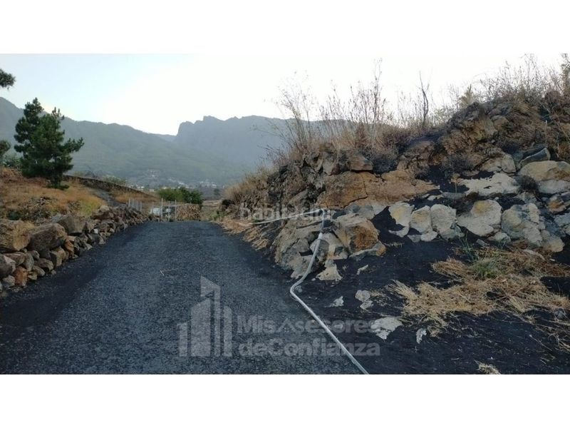 Foto c1379b91-3b0d-424c-8d12-5b5c0d711e02. Terreny residencial a Paso (El)
