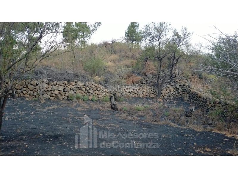 Foto db22da44-993e-4f59-bba2-eb8cc0e2d2e4. Terreny residencial a Paso (El)