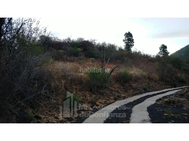 Foto e8f8ac7d-ce01-4cf9-aa34-8c76382e97bd. Terreny residencial a Paso (El)
