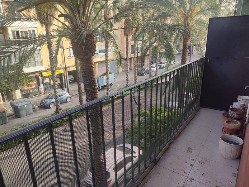 Foto 186dca59-fb4c-47ea-9e4c-e43d2a9971f1. Pis a Marxalenes Valencia