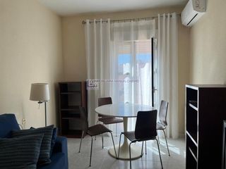 Rent Apartment in Casco Antiguo