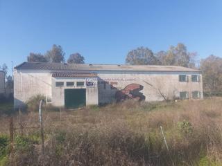 Fabrikhalle in Casar de Cáceres