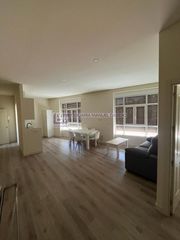 Rent Apartment in Casco Antiguo