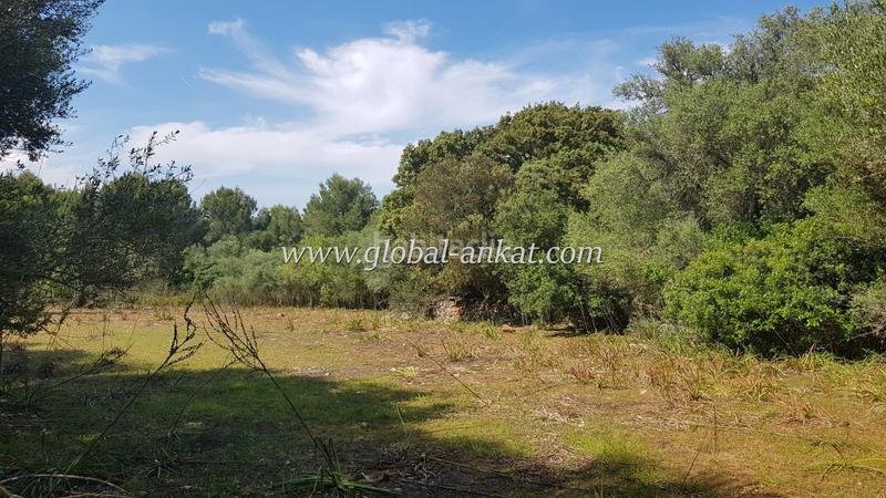 Foto 62ef6254-94ea-4f55-bdfc-19d164c0f701. Casale in Felanitx poble Felanitx