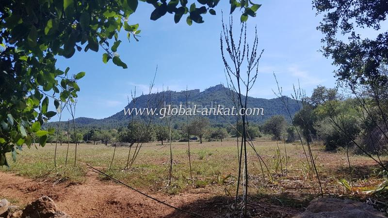 Foto 89d48afe-4c54-40b7-9870-388555c9cd30. Casale in Felanitx poble Felanitx