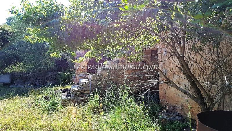 Foto 9b0a3bc2-aea7-4a53-ba1c-fc30c4b651e3. Casale in Felanitx poble Felanitx