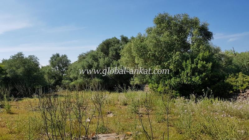 Foto bb41801d-90bd-4af0-9656-d839f775bae1. Casale in Felanitx poble Felanitx