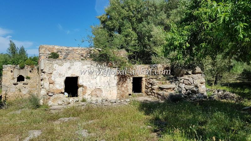 Foto e705cf9a-e6d0-4784-bcb4-07bb3f0931cb. Casale in Felanitx poble Felanitx