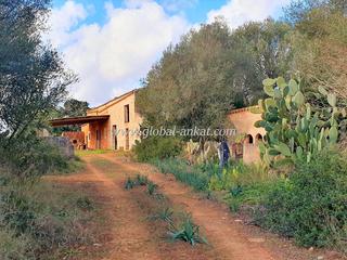 Mas à Campos. Finca ca´n matas (ref. f2038)