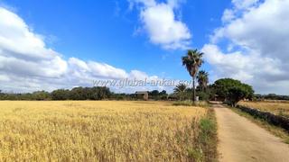 Masia a Manacor Centre. Espectacular finca de origen en felanitx!! (f2050)