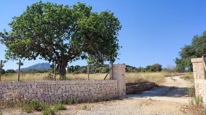 Foto 4ee8daa0-d99f-48da-b999-e4991d0de609. Masía finca de lujo en construcción (ref. f2057) en Felanitx