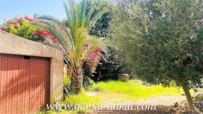 Foto 4028cb63-d473-4214-b1fd-e7a4d63074fa. Masia amb piscina a Felanitx poble Felanitx