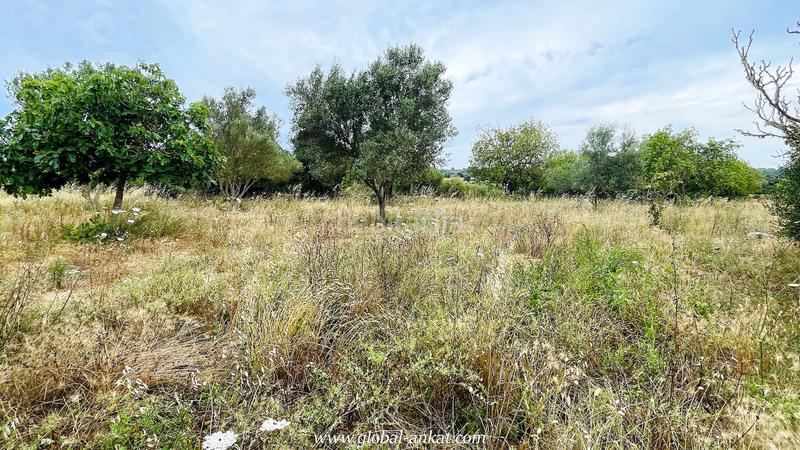 Foto 6f77110e-7b69-4120-a539-3ecb3d02a585. Masia amb piscina a Felanitx poble Felanitx