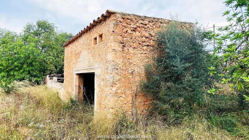 Foto 87658aa5-5a3b-4789-8336-2fde4fda37ef. Masia amb piscina a Felanitx poble Felanitx