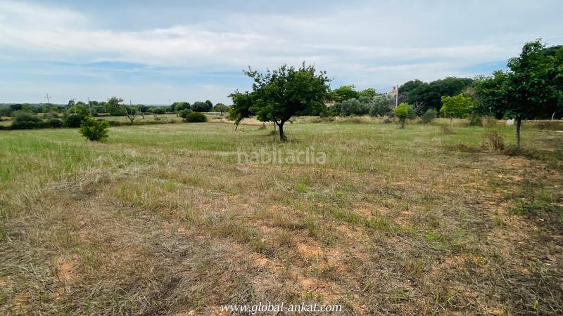 Foto ced6d1ed-2d3a-473c-861b-069f7bbb0c49. Masia amb piscina a Felanitx poble Felanitx