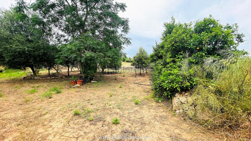 Foto d4eb4366-2b20-48ab-86f2-afd43d27a2c1. Masia amb piscina a Felanitx poble Felanitx