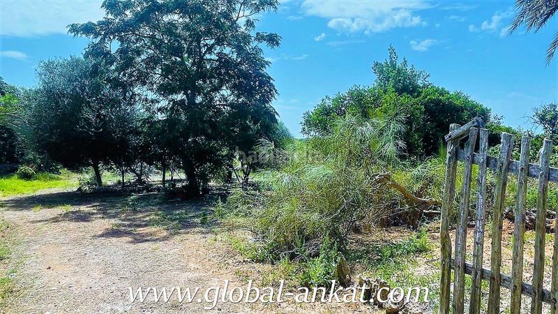 Foto f3188193-e770-4784-bdbb-6da44b8e2967. Masia amb piscina a Felanitx poble Felanitx