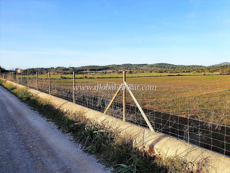 Foto c847c6d4-b6d3-4790-ae1d-02b727249f20. Residential plot in S´Horta - Cas Concos des Cavaller - Es Carritxó Felanitx