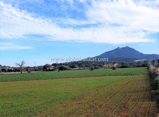 Terreny residencial a S´Horta - Cas Concos des Cavaller - Es Carritxó. Solar no urbanizable en la zona de son prohens (ref. tr2014)
