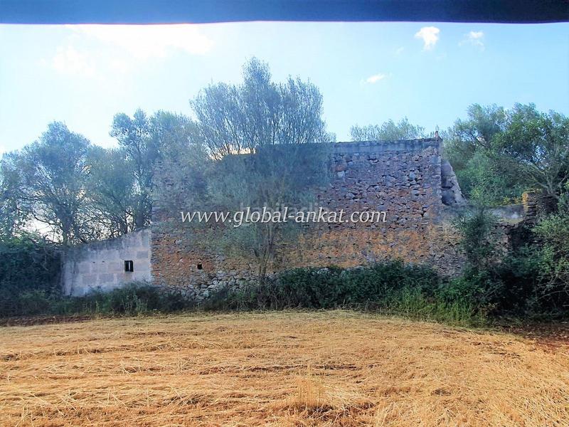 Foto 17de4082-8cda-4fed-a59c-0ed5116dce25. Terreno residenziale in Felanitx poble Felanitx