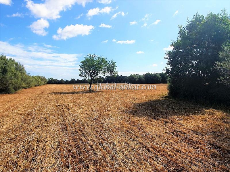 Foto 5c9010e1-d37f-4cc2-92ae-c11f084b30ab. Terreno residenziale in Felanitx poble Felanitx