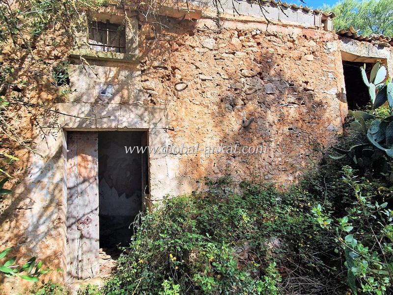 Foto 6ea9285f-0d65-4abd-87bf-5c0e6c33b43d. Terreno residenziale in Felanitx poble Felanitx