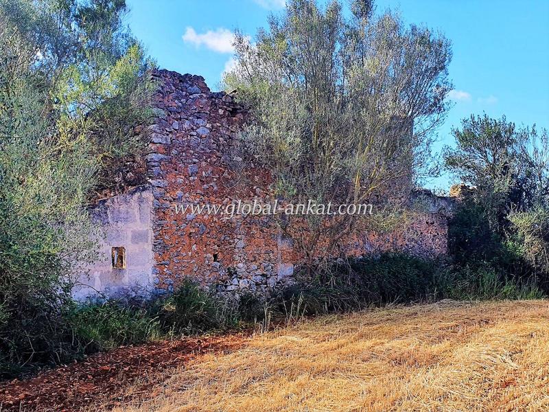 Foto 7ad13e07-3c58-4a1c-b0c4-76a7657269bf. Terreno residenziale in Felanitx poble Felanitx