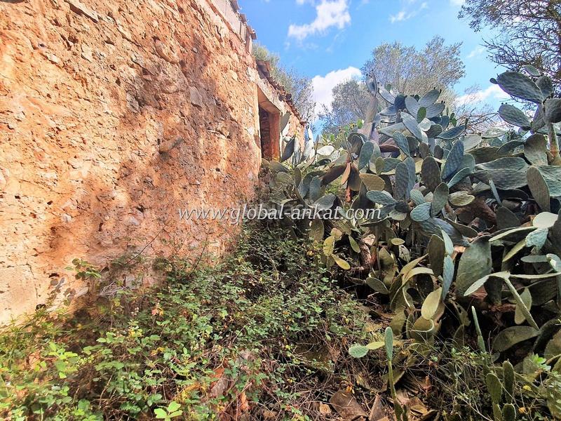 Foto d1d437b2-07d6-407e-9c41-cb9063cb3e88. Terreno residenziale in Felanitx poble Felanitx