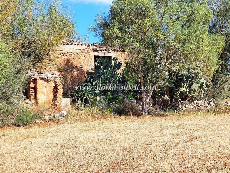 Foto fa9063e3-8bb1-450c-b513-332cb1828d8e. Terreno residenziale in Felanitx poble Felanitx