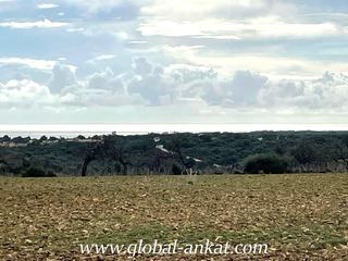Finca rústica a Cala Murada. Terreno en s’espinagar – manacor (tr2028)