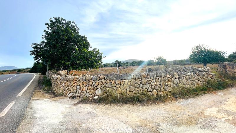 Foto 03728663-d581-4e83-b886-096242a109c6. Fondo rustico in S´Horta - Cas Concos des Cavaller - Es Carritxó Felanitx