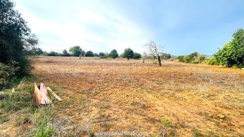 Foto 07627ffb-7d95-4f46-bf05-f24e847a7594. Fondo rustico in S´Horta - Cas Concos des Cavaller - Es Carritxó Felanitx