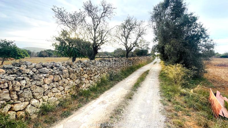 Foto 435db5c0-f549-4558-9378-cc7840c754cd. Fondo rustico in S´Horta - Cas Concos des Cavaller - Es Carritxó Felanitx