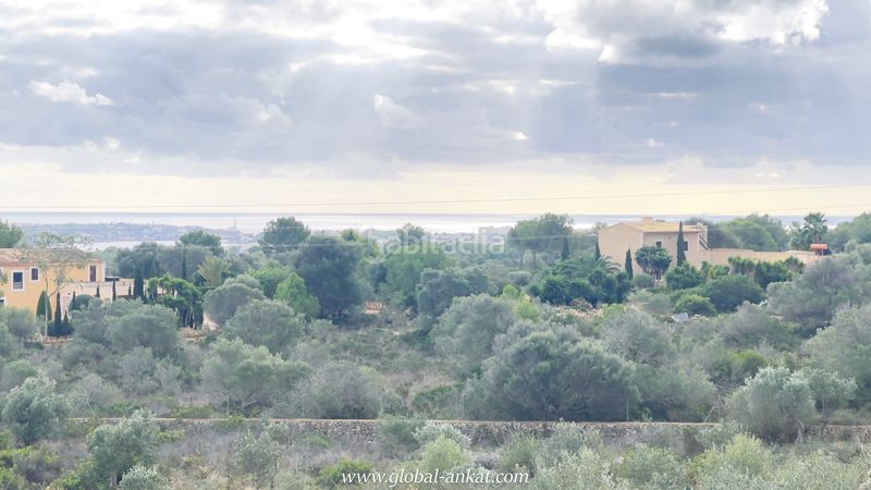 Foto 7f168d87-4a20-4767-a7f8-c08a1429e244. Rent country house with fireplace parking pool in Felanitx