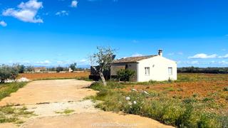 Finca rústica a Felanitx Poble. Finca rústica con vistas a sant salvador cerca de felanitx.! (re