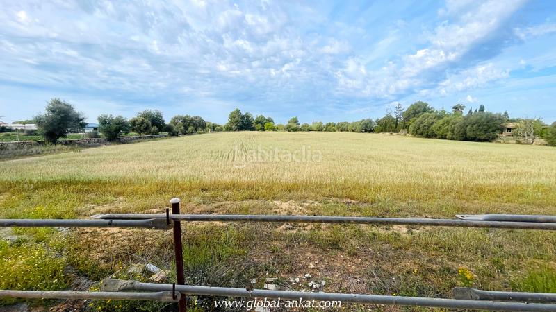 Foto 6f8a659d-a9b5-44de-847d-1087e1f9b86d. Masía finca rústica en son garí, : ¡oportunidad única! (ref. f2074) en Felanitx