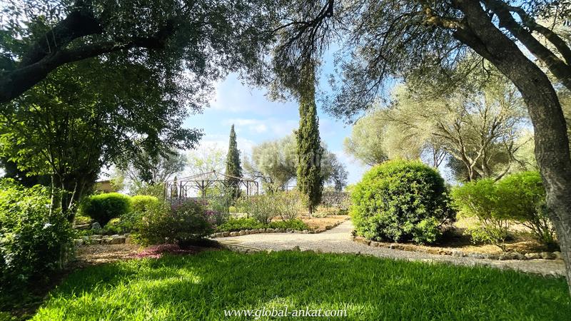 Foto 529b0e50-85c9-43d4-b609-0e9541b6a525. Casale con camino parcheggio in Felanitx poble Felanitx