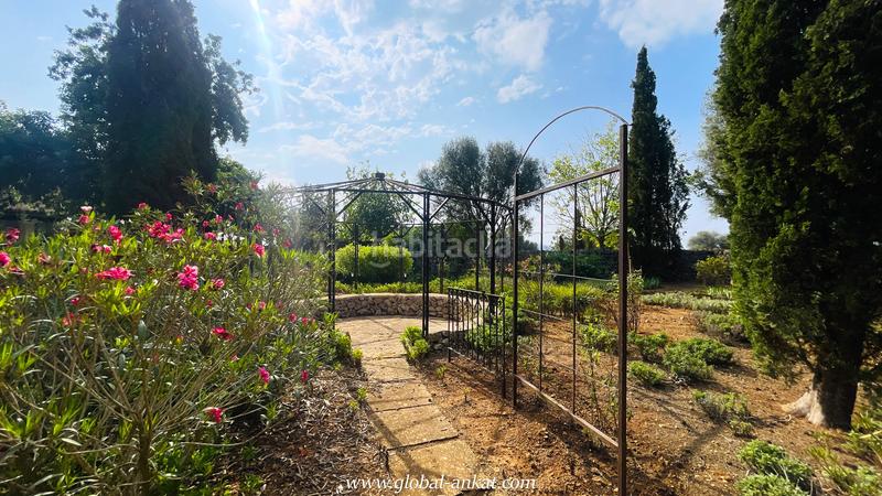 Foto 79775a8b-c9e4-4617-b08b-37086ae838fc. Casale con camino parcheggio in Felanitx poble Felanitx
