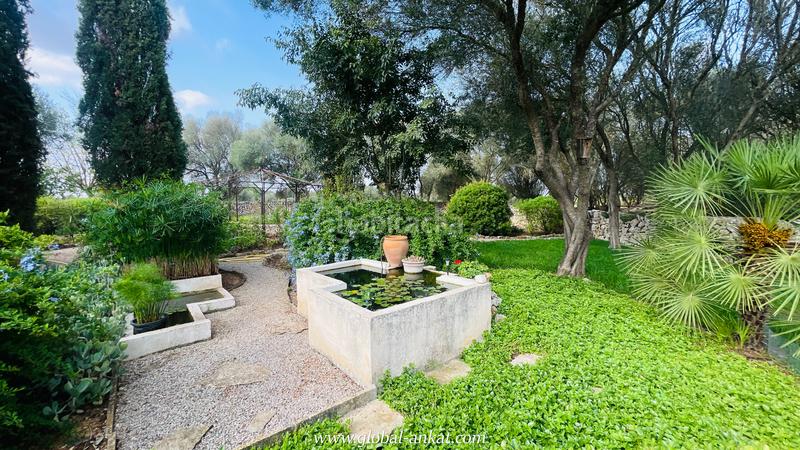 Foto b5c004d2-b34c-406b-a2ad-31fbf249e5bd. Casale con camino parcheggio in Felanitx poble Felanitx