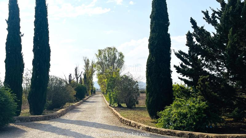 Foto f9f50547-c1fe-4f96-812f-85c7f3793336. Casale con camino parcheggio in Felanitx poble Felanitx