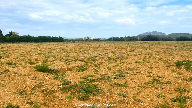 Foto 44f7182d-cf52-4251-af1e-23cff9db02fe. Residential plot in Felanitx poble Felanitx