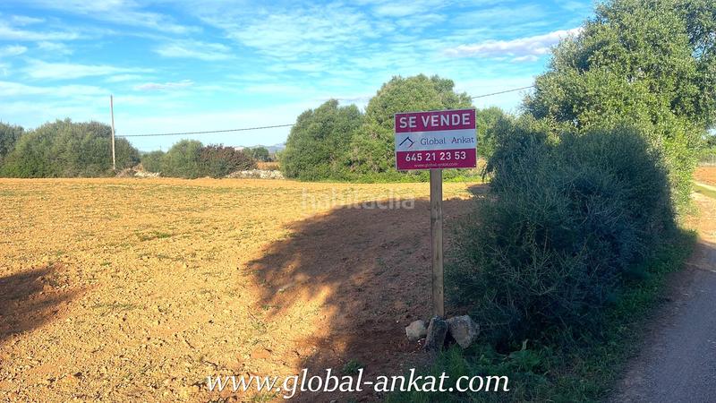 Foto 636563f8-848c-4590-8418-fcad4526edeb. Residential plot in Felanitx poble Felanitx