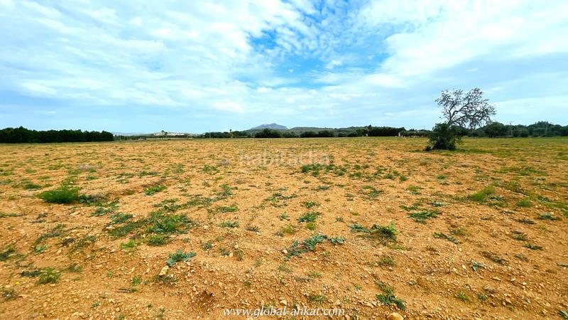 Foto 65f95c52-9f59-44e2-ab2d-87eef7142443. Residential plot in Felanitx poble Felanitx