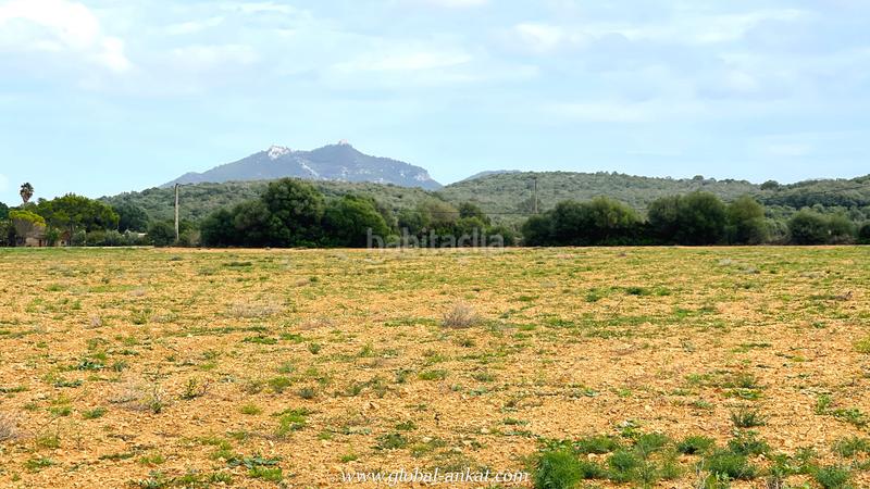 Foto 803a72f5-7b8b-46bf-a169-d1b6d8033731. Residential plot in Felanitx poble Felanitx