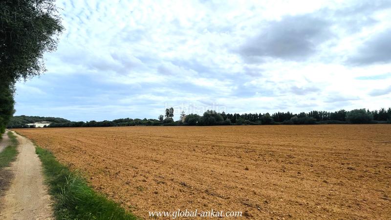 Foto cf0c4e69-3cab-465e-bdf3-a613a4f25f9f. Residential plot in Felanitx poble Felanitx