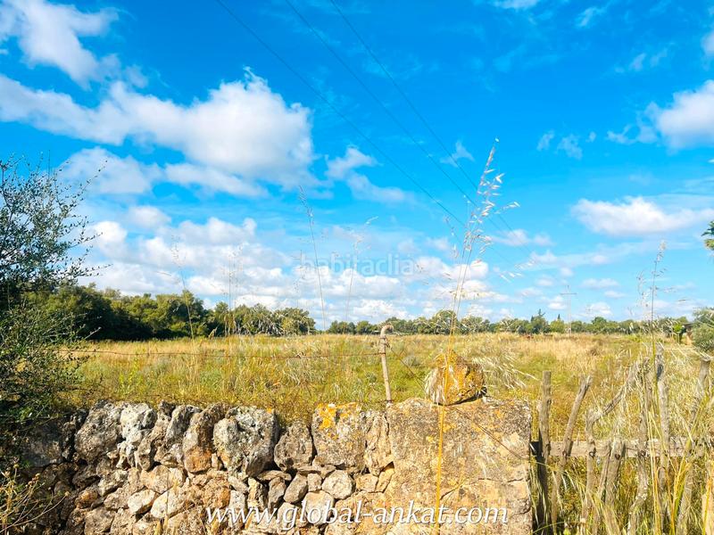 Foto 7b6f04ef-f3ce-4263-b034-1ed8d6258980. Finca rústica a Felanitx poble Felanitx