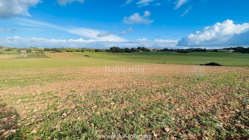 Foto 08553ae8-03aa-4351-9d70-64693dd12668. Landgut in Felanitx poble Felanitx