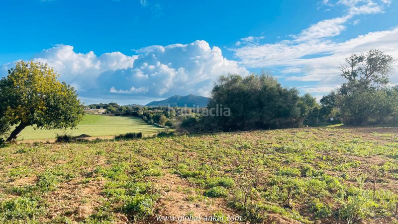 Foto 1c1c3d0f-235a-4de8-bbb2-080ebf767744. Landgut in Felanitx poble Felanitx