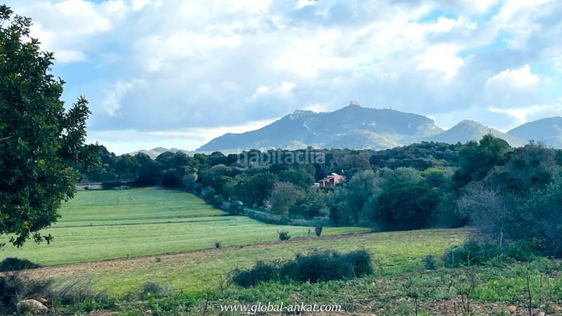 Foto 264238c2-d032-49df-87d1-27ec91b426eb. Landgut in Felanitx poble Felanitx