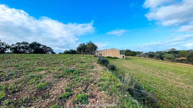 Foto 67fd219b-f6f9-4443-8d27-ac9a73adb7e4. Landgut in Felanitx poble Felanitx